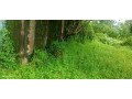 land-for-sale-near-aster-medicity-ernakulam-small-0