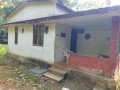 a-house-and-46-cent-land-for-urgent-sale-small-0