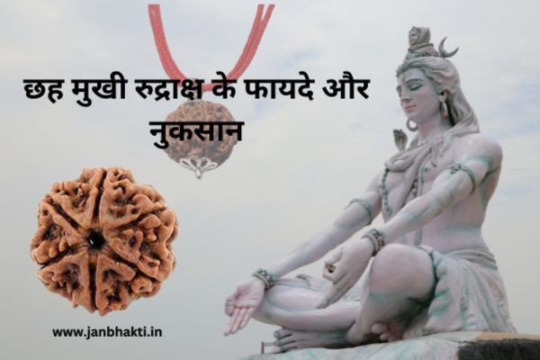 astrological-benefits-of-6-mukhi-rudraksha-fayde-aur-upyog-big-0