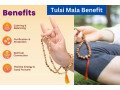 tulsi-ki-mala-ke-fayde-shanti-aur-swasthya-ke-liye-upyogi-small-0