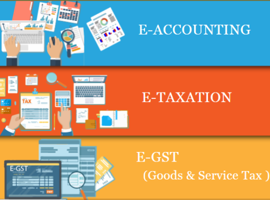accounting-course-in-delhi-110015-sla-gst-big-0